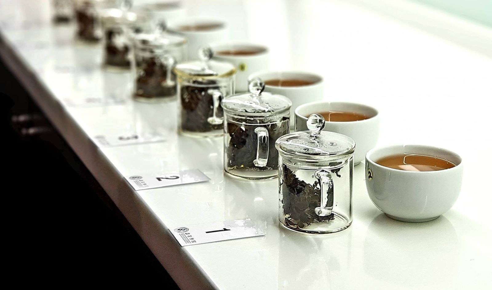茶湯品評現場